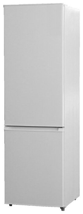 Refrigerator Braun BRM 3590 DWNF