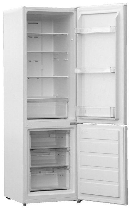 Refrigerator Braun BRM 3590 DWNF