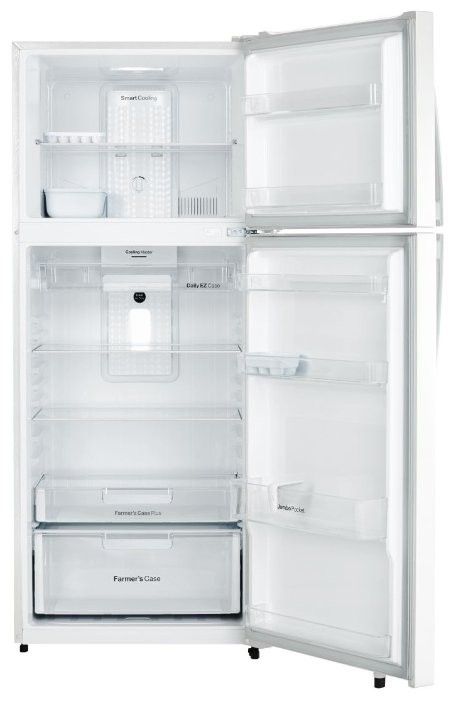 Refrigerator Daewoo Electronics FGK-51 WFG