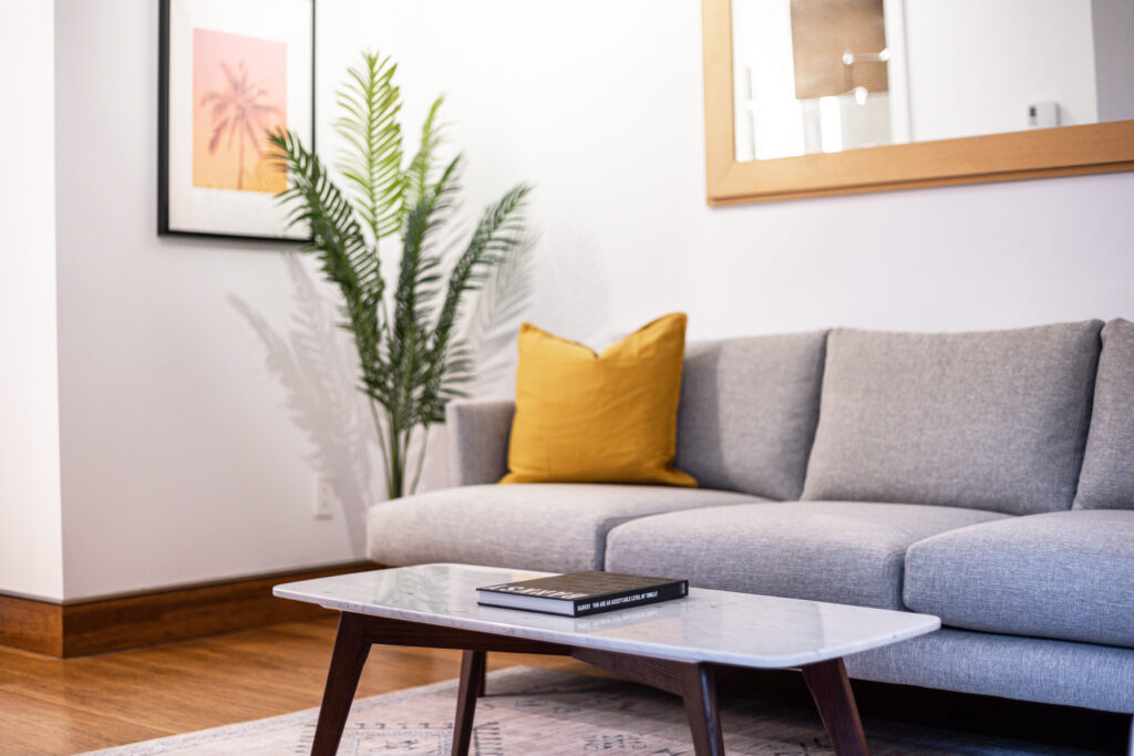 Airbnb Listing Living Room Setup